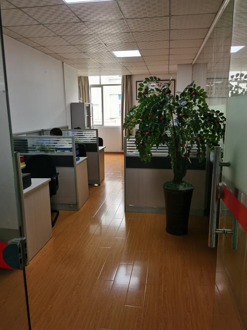 網絡技術企業的綜合服務與商業路徑