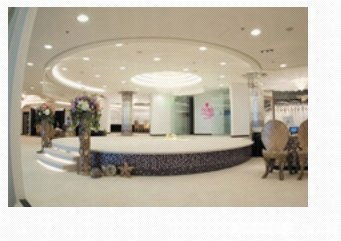芝柏一站式服務 婚紗攝影、新娘化妝與禮服租賃，記錄您的完美瞬間